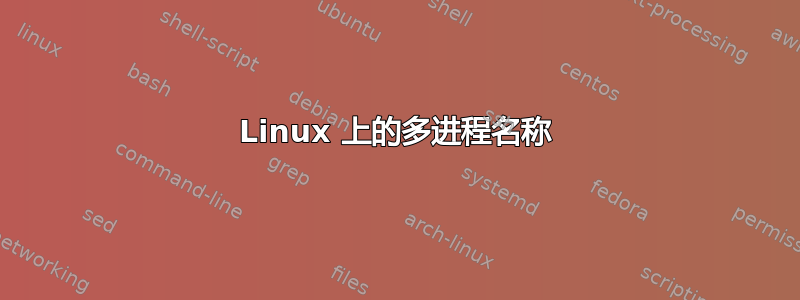 Linux 上的多进程名称