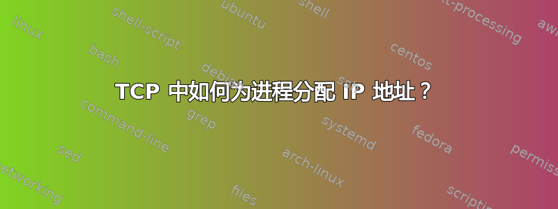 TCP 中如何为进程分配 IP 地址？