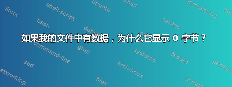 如果我的文件中有数据，为什么它显示 0 字节？