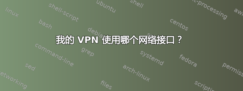 我的 VPN 使用哪个网络接口？