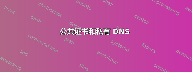 公共证书和私有 DNS