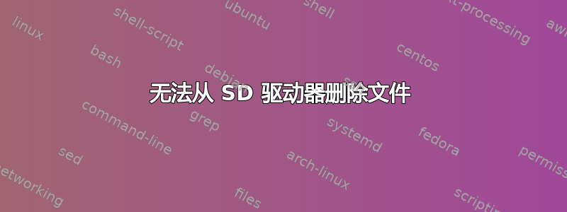 无法从 SD 驱动器删除文件