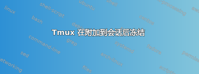 Tmux 在附加到会话后冻结