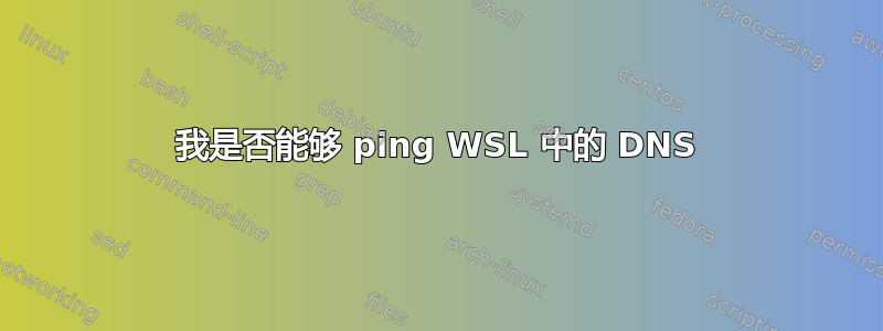 我是否能够 ping WSL 中的 DNS