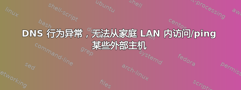 DNS 行为异常，无法从家庭 LAN 内访问/ping 某些外部主机