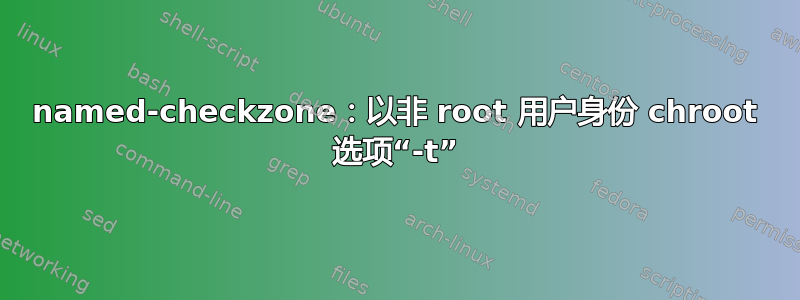 named-checkzone：以非 root 用户身份 chroot 选项“-t”