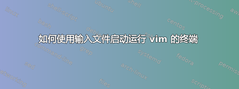 如何使用输入文件启动运行 vim 的终端