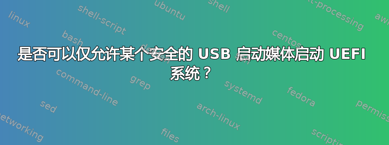 是否可以仅允许某个安全的 USB 启动媒体启动 UEFI 系统？