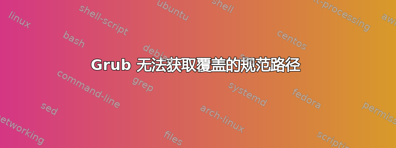 Grub 无法获取覆盖的规范路径