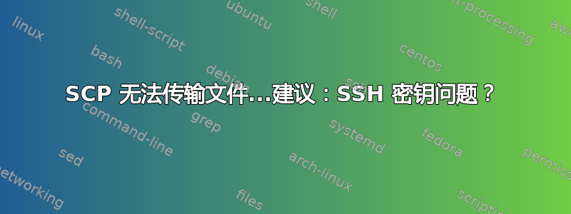 SCP 无法传输文件...建议：SSH 密钥问题？