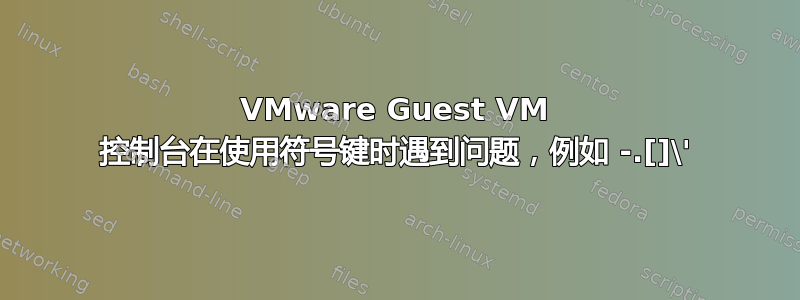 VMware Guest VM 控制台在使用符号键时遇到问题，例如 -.[]\'