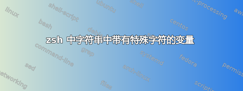 zsh 中字符串中带有特殊字符的变量