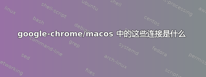 google-chrome/macos 中的这些连接是什么