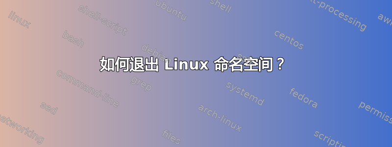 如何退出 Linux 命名空间？