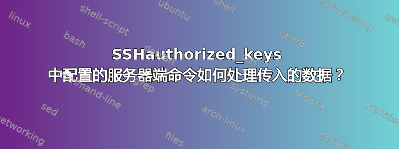 SSHauthorized_keys 中配置的服务器端命令如何处理传入的数据？