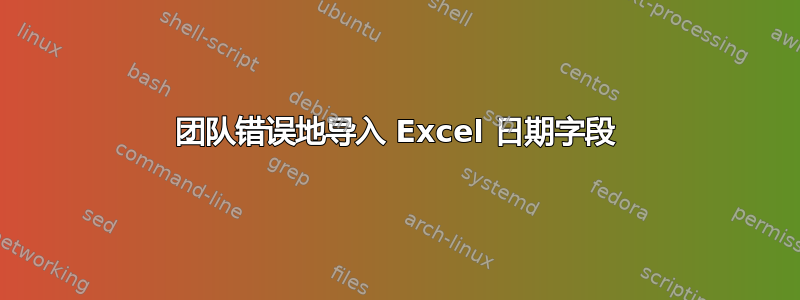 团队错误地导入 Excel 日期字段