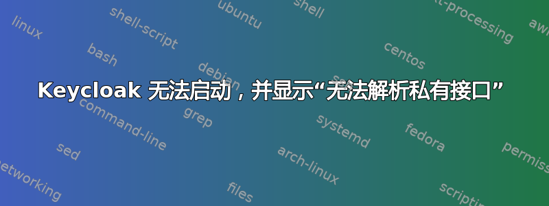 Keycloak 无法启动，并显示“无法解析私有接口”