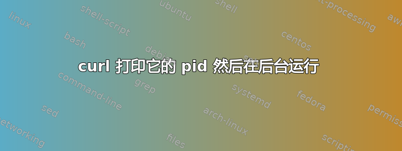 curl 打印它的 pid 然后在后台运行