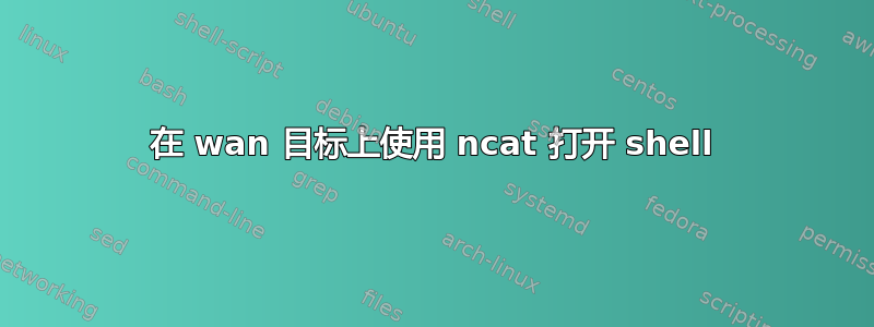 在 wan 目标上使用 ncat 打开 shell