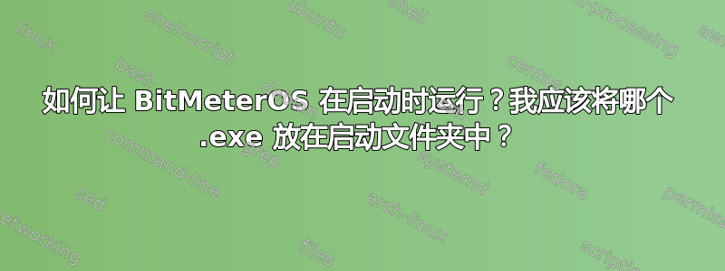 如何让 BitMeterOS 在启动时运行？我应该将哪个 .exe 放在启动文件夹中？