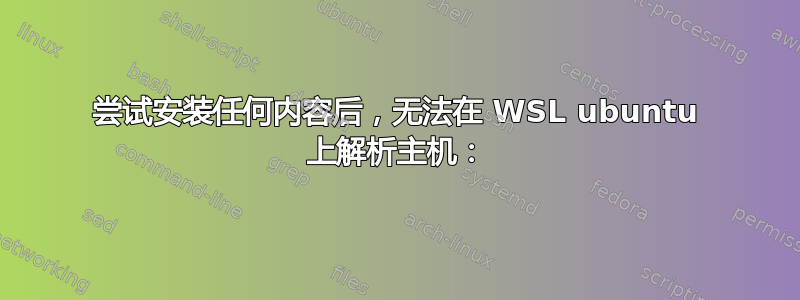 尝试安装任何内容后，无法在 WSL ubuntu 上解析主机：