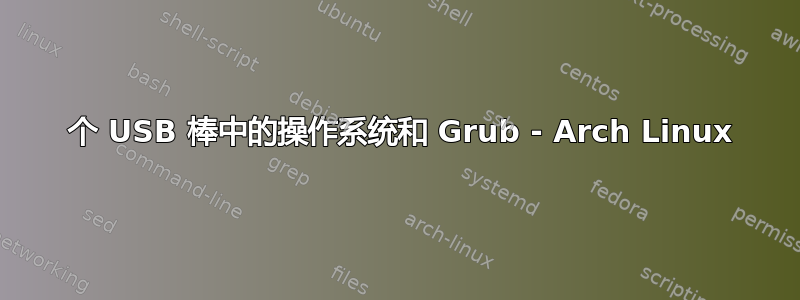 2 个 USB 棒中的操作系统和 Grub - Arch Linux