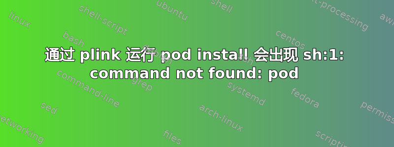 通过 plink 运行 pod install 会出现 sh:1: command not found: pod