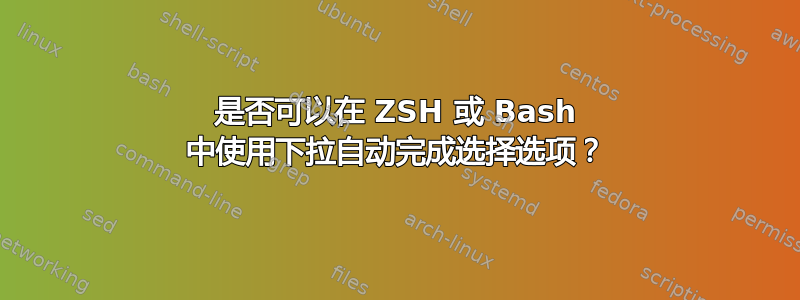 是否可以在 ZSH 或 Bash 中使用下拉自动完成选择选项？