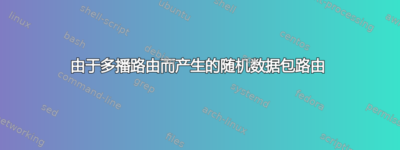 由于多播路由而产生的随机数据包路由