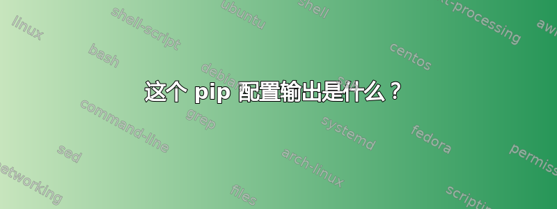 这个 pip 配置输出是什么？