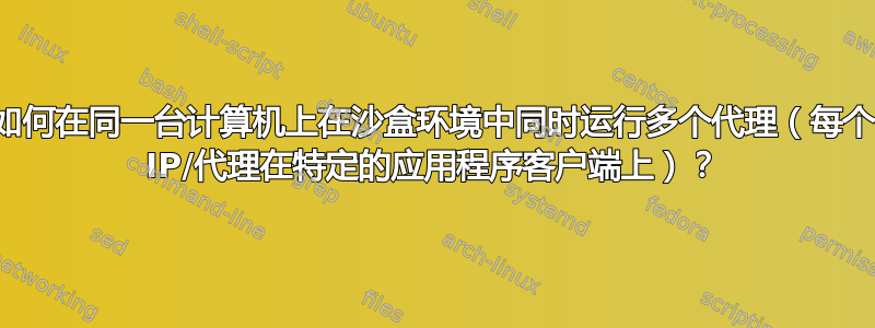 如何在同一台计算机上在沙盒环境中同时运行多个代理（每个 IP/代理在特定的应用程序客户端上）？