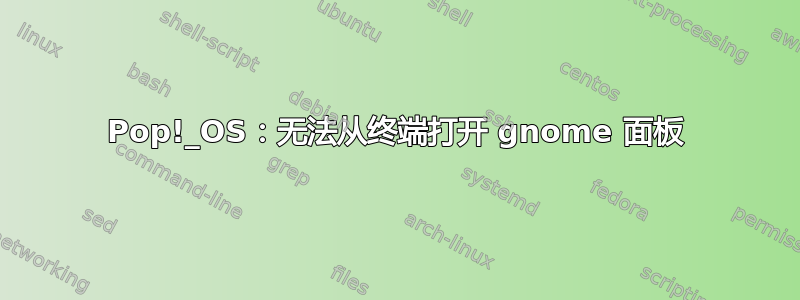 Pop!_OS：无法从终端打开 gnome 面板