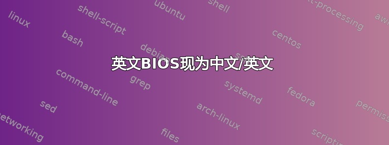 英文BIOS现为中文/英文