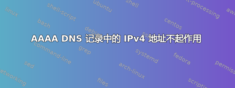 AAAA DNS 记录中的 IPv4 地址不起作用