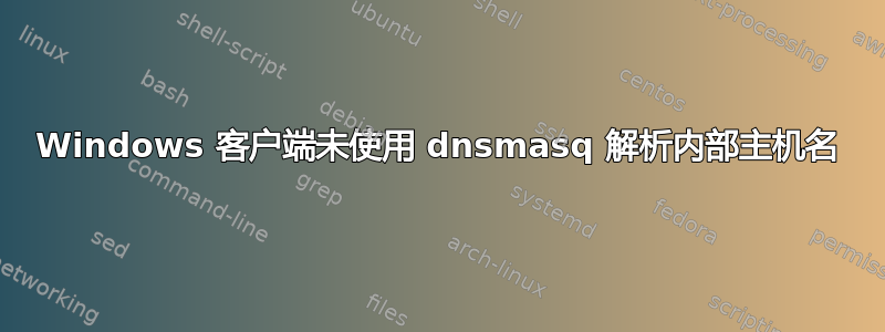 Windows 客户端未使用 dnsmasq 解析内部主机名