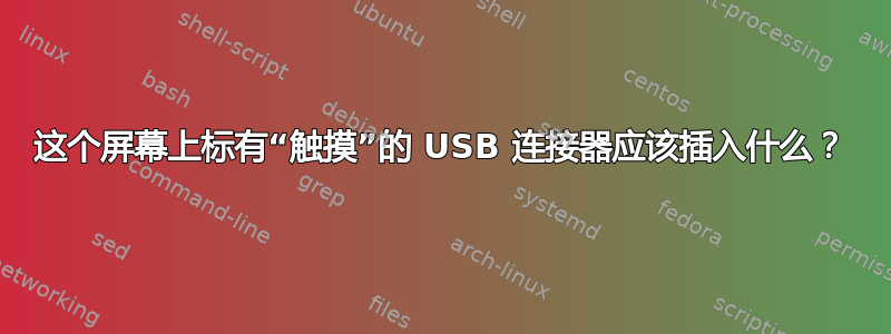 这个屏幕上标有“触摸”的 USB 连接器应该插入什么？