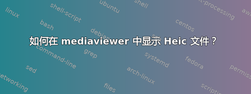 如何在 mediaviewer 中显示 Heic 文件？