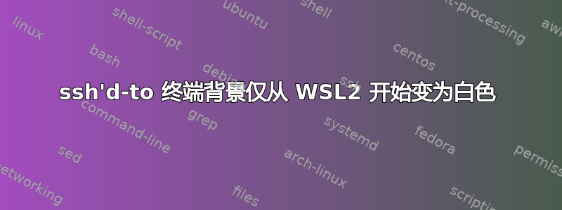 ssh'd-to 终端背景仅从 WSL2 开始变为白色