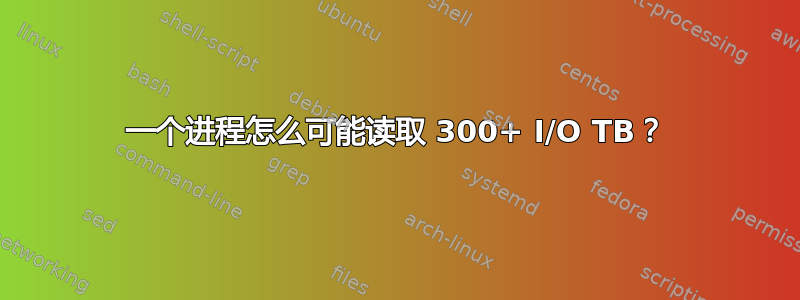 一个进程怎么可能读取 300+ I/O TB？