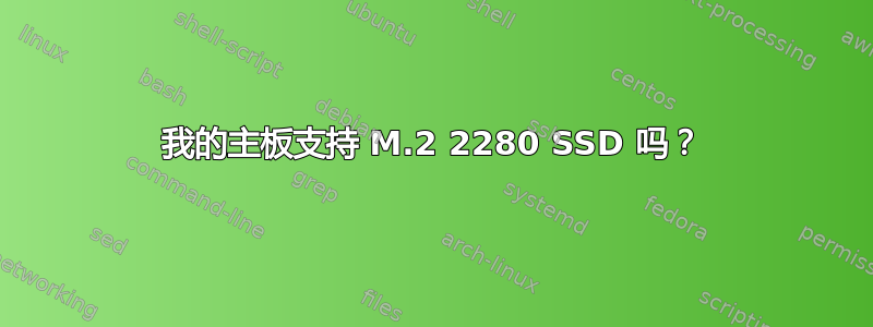 我的主板支持 M.2 2280 SSD 吗？