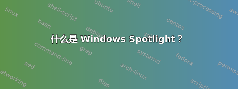 什么是 Windows Spotlight？