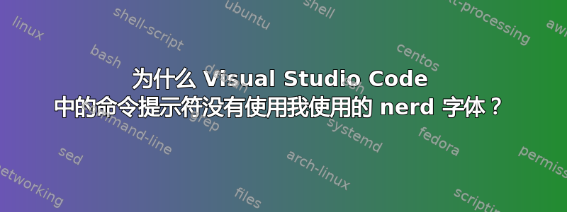 为什么 Visual Studio Code 中的命令提示符没有使用我使用的 nerd 字体？