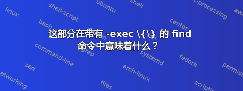 这部分在带有 -exec \{\} 的 find 命令中意味着什么？ 