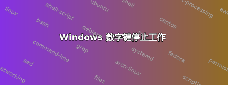 Windows 数字键停止工作