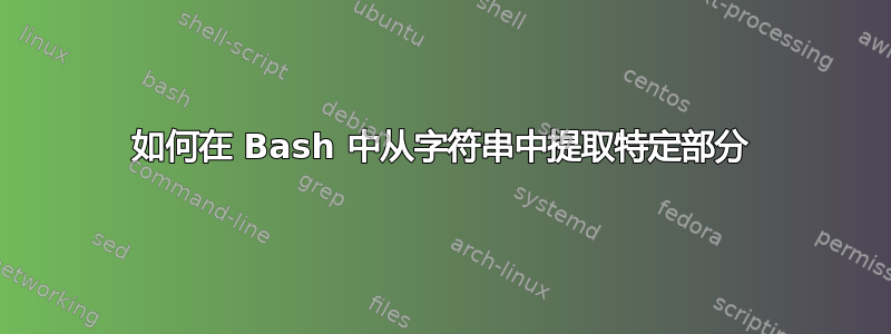 如何在 Bash 中从字符串中提取特定部分