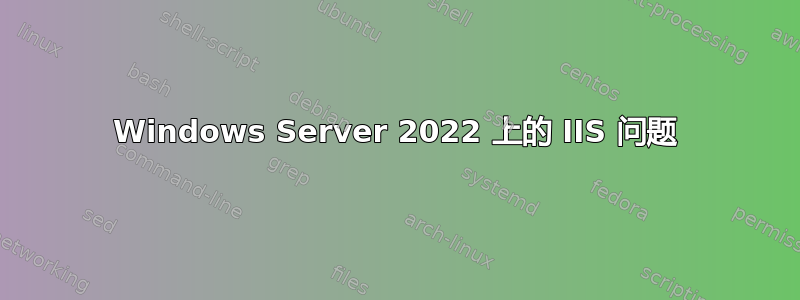 Windows Server 2022 上的 IIS 问题