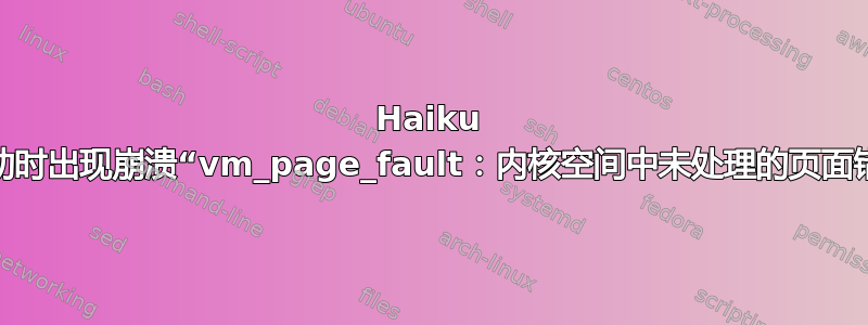 Haiku 在启动时出现崩溃“vm_page_fault：内核空间中未处理的页面错误”