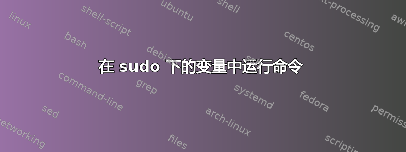 在 sudo 下的变量中运行命令