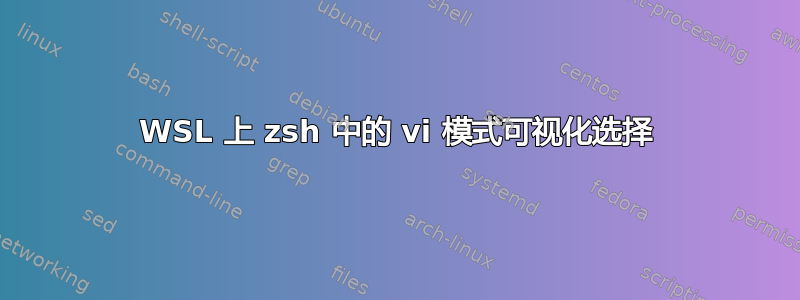 WSL 上 zsh 中的 vi 模式可视化选择