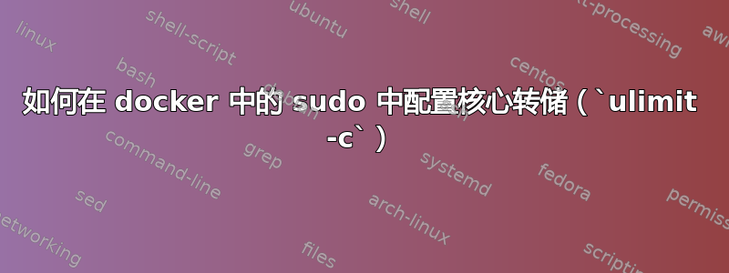 如何在 docker 中的 sudo 中配置核心转储（`ulimit -c`）